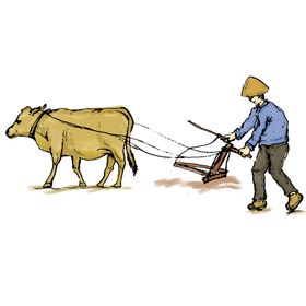 农民形象