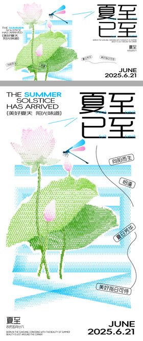 夏至节气海报展板