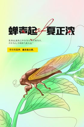 夏至宣传节气素材传统