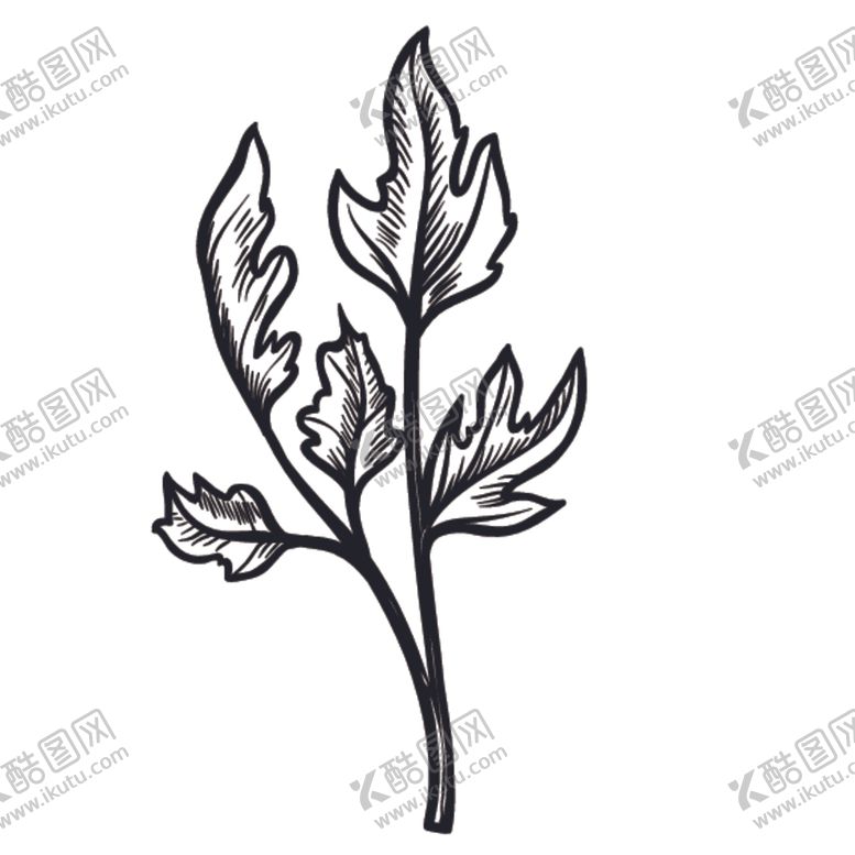 编号：40288210141709506287【酷图网】源文件下载-简笔画蔬菜食物