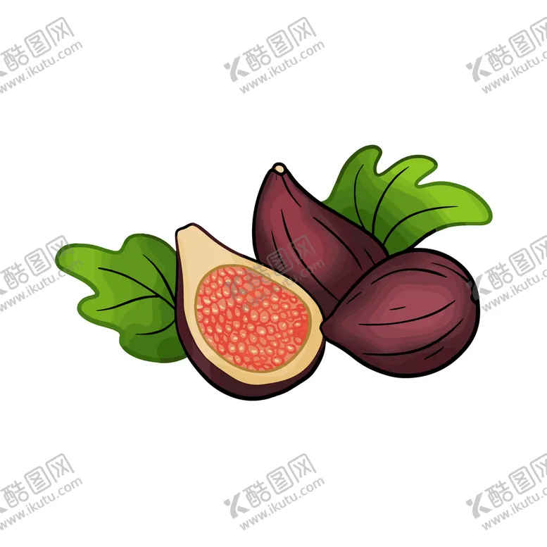 编号：49081309161411020829【酷图网】源文件下载-卡通无花果