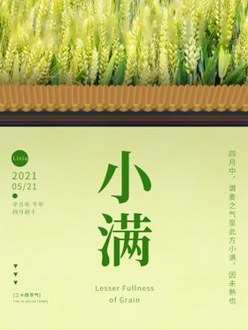 小满海报广告唯美清新推广宣传