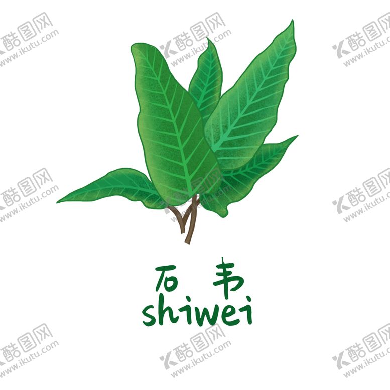 编号：16184804170440447077【酷图网】源文件下载-草本植物药材