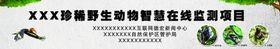 大鸟珍惜动物自然白鹤野生动物