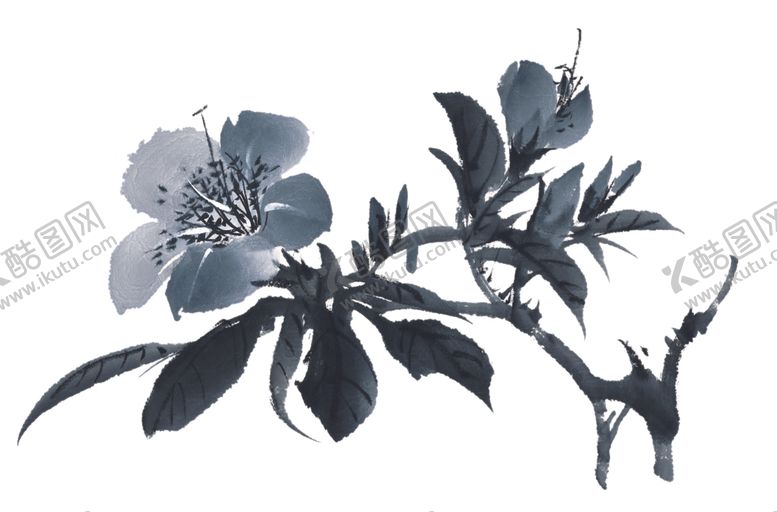 编号：84969402031911396639【酷图网】源文件下载-百花争艳  