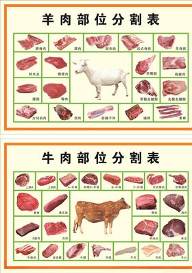 牛羊肉分割图