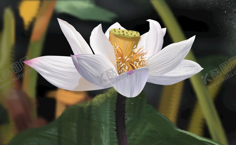 编号：53812909270446427892【酷图网】源文件下载-花朵