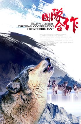 团队合作