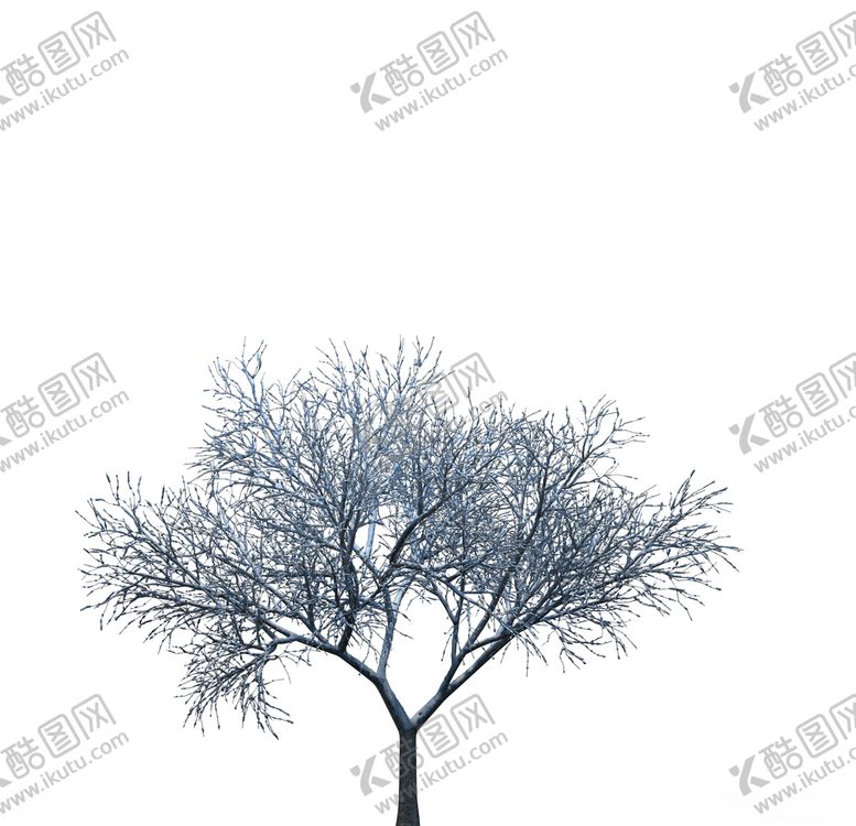 编号：42256507072007125777【酷图网】源文件下载-树木