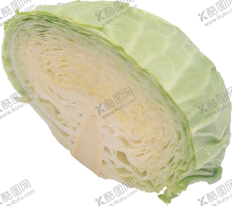 编号：51885105111538089173【酷图网】源文件下载-包菜