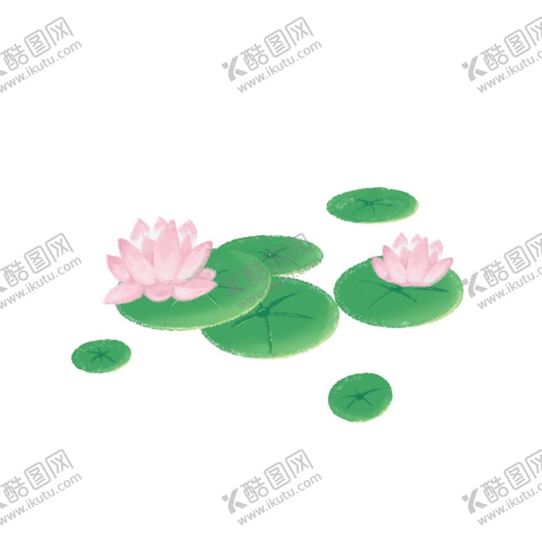编号：16846003201854543692【酷图网】源文件下载-荷花
