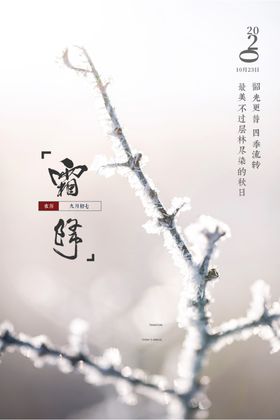 霜降白露地产冻结