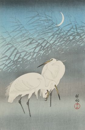 白鹭村