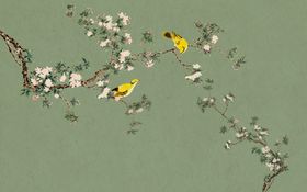 花鸟画手绘画鸟背景墙