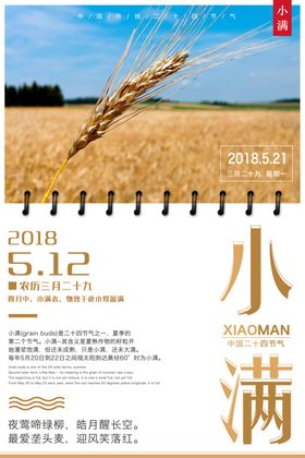 小满节气海报折页万物长刷屏图麦