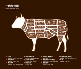 牛肉分割图牛