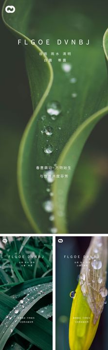 白露寒露霜降节日系列海报