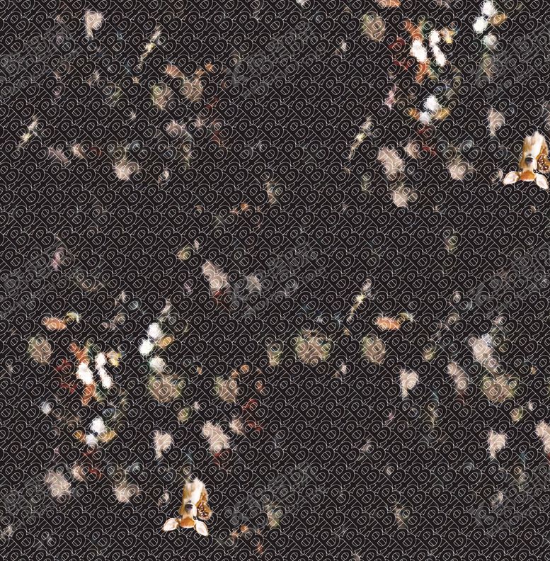 编号：78515310120757256745【酷图网】源文件下载-黑底字母