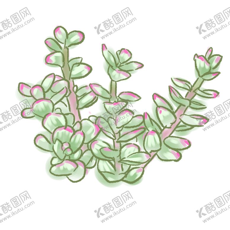 编号：48892009132052444301【酷图网】源文件下载-手绘多肉雅乐之舞