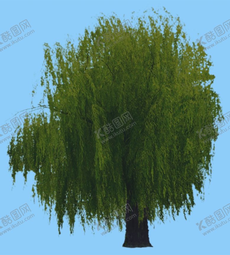 编号：20362209250740029494【酷图网】源文件下载-景观树