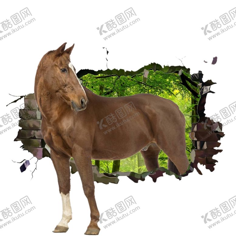 编号：26244310090644435616【酷图网】源文件下载-3D墙画