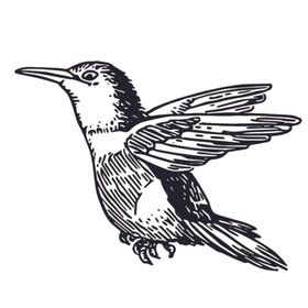 飞鸟线稿绘画图案
