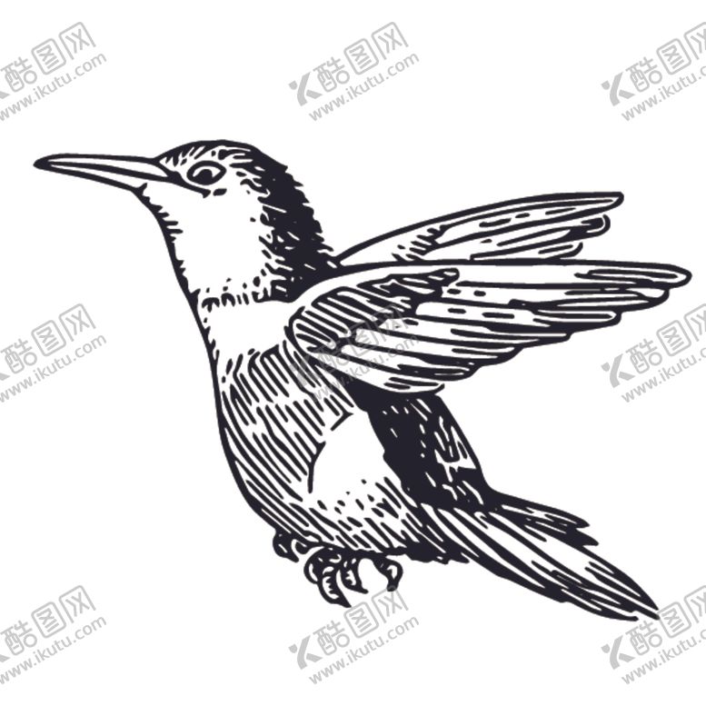 编号：63083610222358127259【酷图网】源文件下载-飞鸟线稿绘画图案