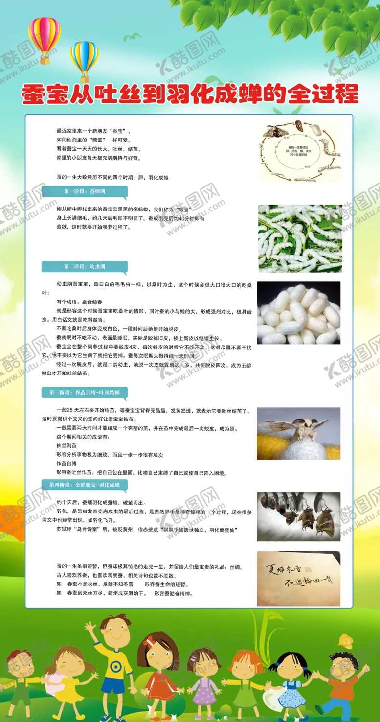 编号：77753102181251381000【酷图网】源文件下载-蚕宝宝吐丝化蝉过程