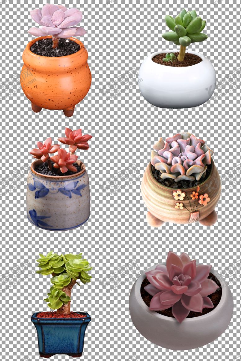 编号：41311705151017363488【酷图网】源文件下载-植物多肉