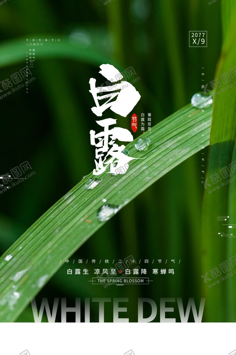 编号：78168409240706158169【酷图网】源文件下载-白露