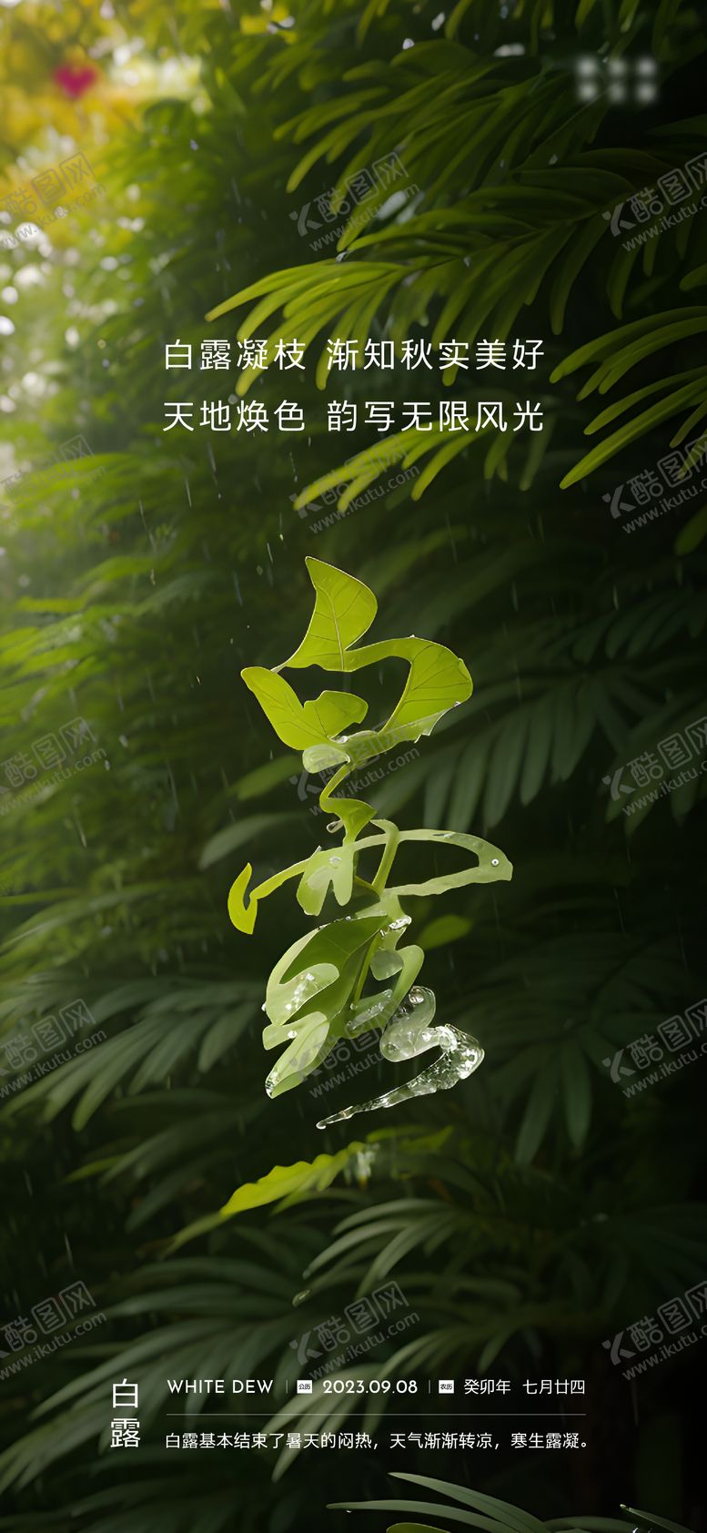 编号：85938212012339391073【酷图网】源文件下载-白露节气海报 