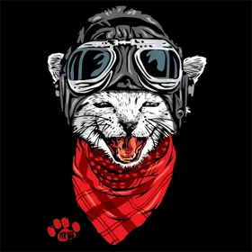 卡通猫