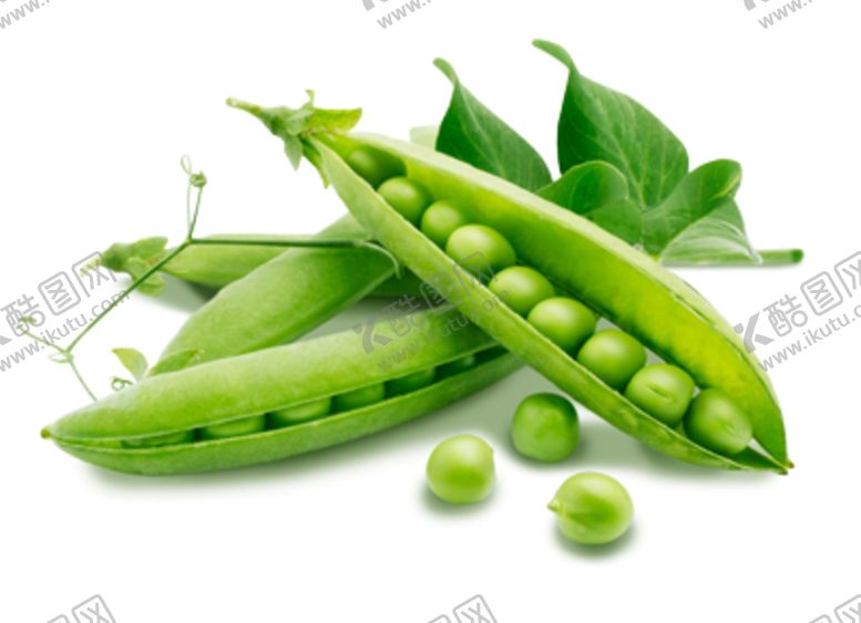 编号：74073010302337306212【酷图网】源文件下载-豌豆