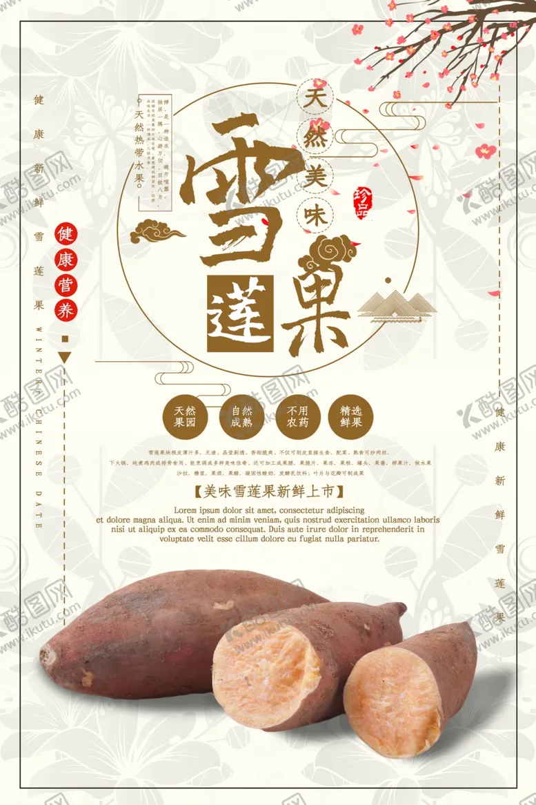 编号：89964206170054226229【酷图网】源文件下载-雪莲果