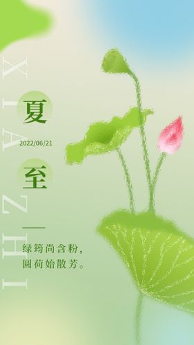 夏至节气简约