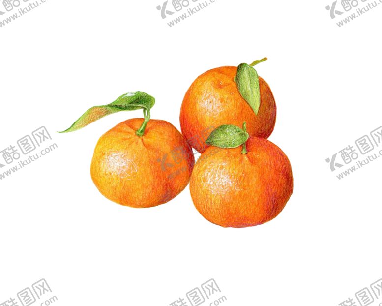 编号：61358310181844471779【酷图网】源文件下载-橘子