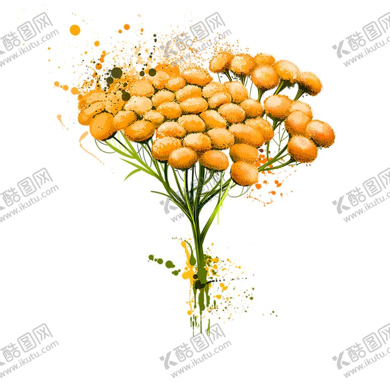 编号：30071510081729097222【酷图网】源文件下载-花素材