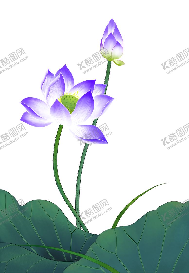 编号：44733804250318595310【酷图网】源文件下载-荷花元素