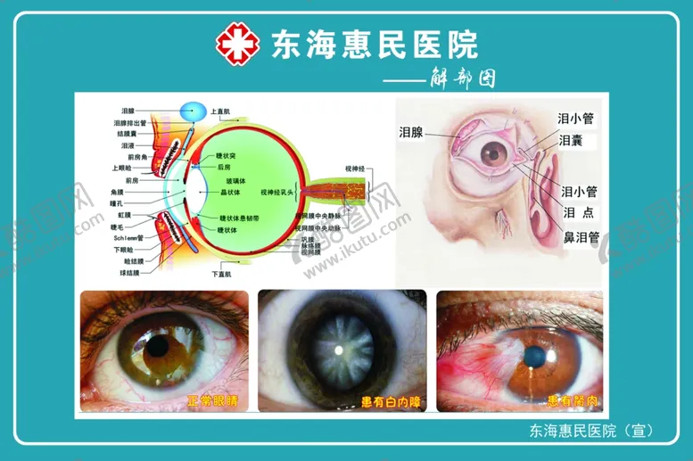 编号：67224102260122272174【酷图网】源文件下载-惠明医院白内障眼科眼球