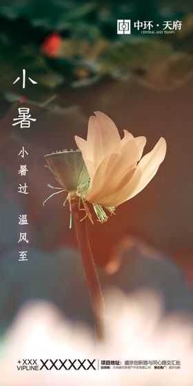 小暑微信