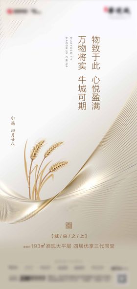 小满节气海报