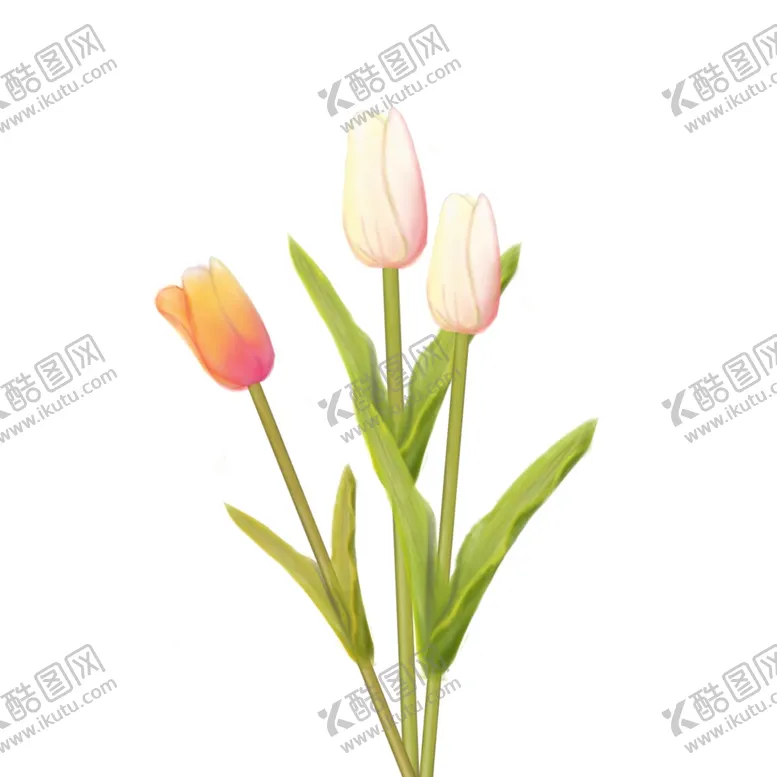 编号：47163006252322254008【酷图网】源文件下载-手绘百合