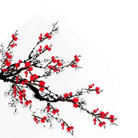 中国风水墨梅