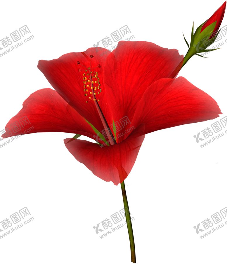 编号：69076309222258596192【酷图网】源文件下载-鲜花素材