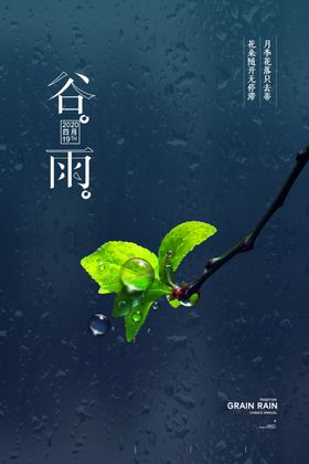 谷雨海报