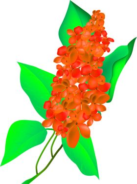花素材鲜朵小清新朵朵底纹