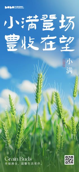 24节节气小满夏季海报