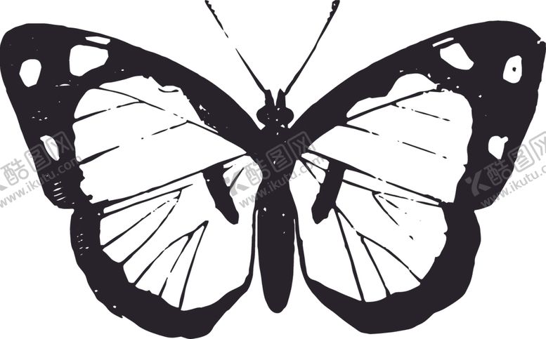 编号：50090109131233276067【酷图网】源文件下载-自然昆虫标本插画