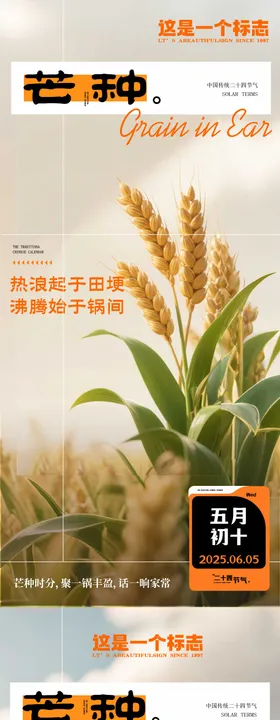 芒种节