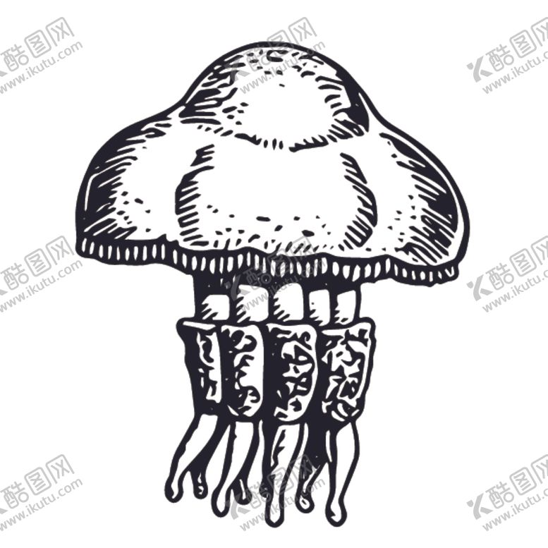 编号：14423210012357481537【酷图网】源文件下载-海洋生物鱼类图案